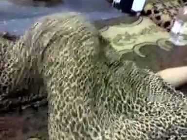 Bewitching Arab butt shaking