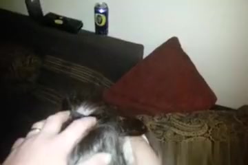 Can I cum in your throat?