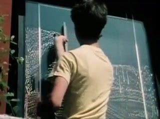 The window cleaner