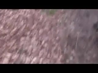 Couple caught in the woods