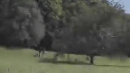 Innocent looking girls love fucking outside in public